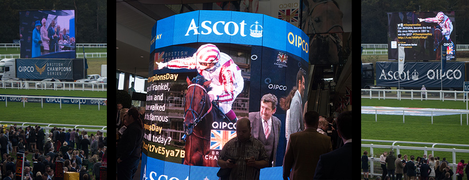 #ChampionsDay at Ascot with Her Majesty